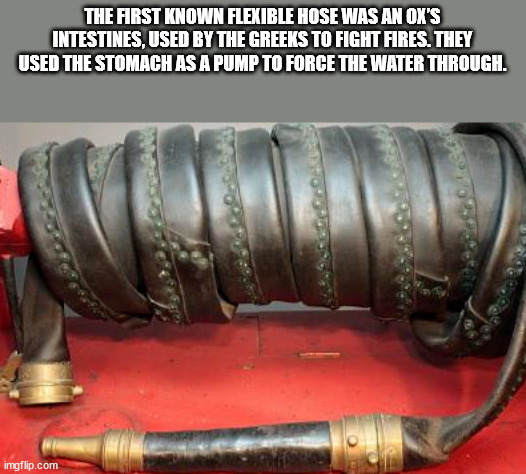 pipe - The First Known Flexible Hose Was An Ox'S Intestines, Used By The Greeks To Fight Fires. They Used The Stomach As A Pump To Force The Water Through. imgflip.com