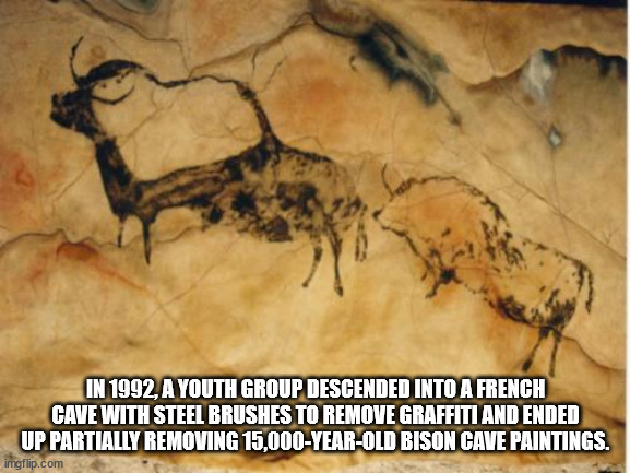 In 1992, A Youth Group Descended Into A French Cave With Steel Brushes To Remove Graffiti And Ended Up Partially Removing 15,000YearOld Bison Cave Paintings. imgflip.com