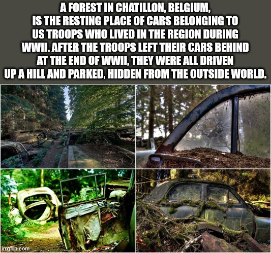 A Forest In Chatillon, Belgium, Is The Resting Place Of Cars Belonging To Us Troops Who Lived In The Region During Wwii. After The Troops Left Their Cars Behind At The End Of Wwil, They Were All Driven Up A Hill And Parked, Hidden From The Outside World.…