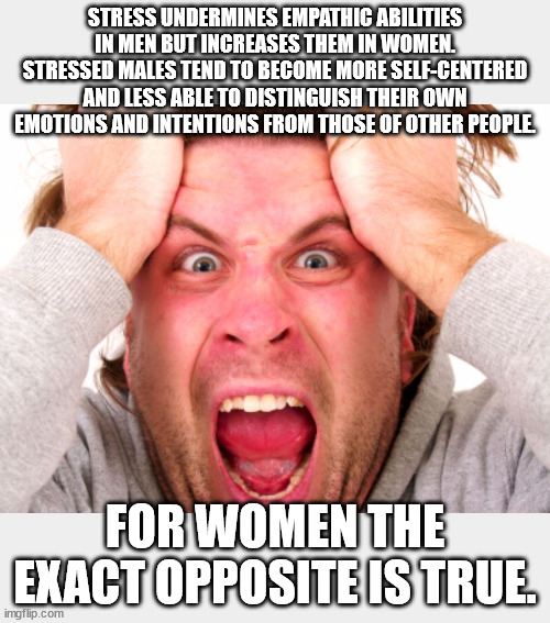 man pulling hair out - Stress Undermines Empathic Abilities In Men But Increases Them In Women. Stressed Males Tend To Become More SelfCentered And Less Able To Distinguish Their Own Emotions And Intentions From Those Of Other People For Women The Exact O