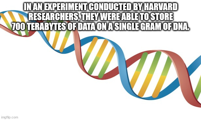 transparent dna - In An Experiment Conducted By Harvard Researchers, They Were Able To Store 700 Terabytes Of Data On A Single Gram Of Dna. Dox imgflip.com