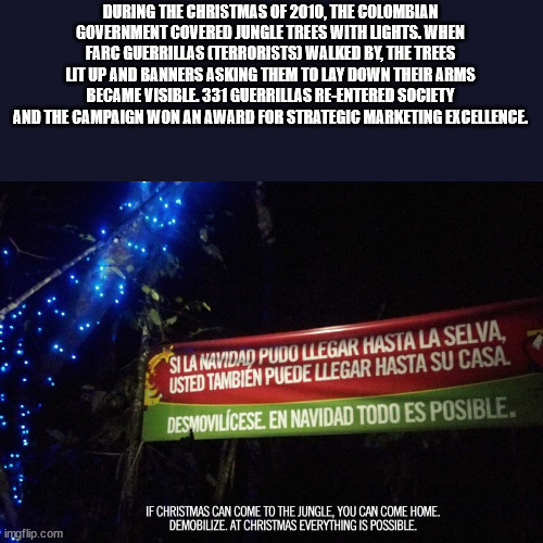 atmosphere - During The Christmas Of 2010, The Colombian Government Covered Jungle Trees With Lights. When Farc Guerrillas Terroristsj Walked By The Trees Ut Up And Banners Asking Them To Lay Down Their Arms Became Visible. 331 Guerrillas ReEntered Societ