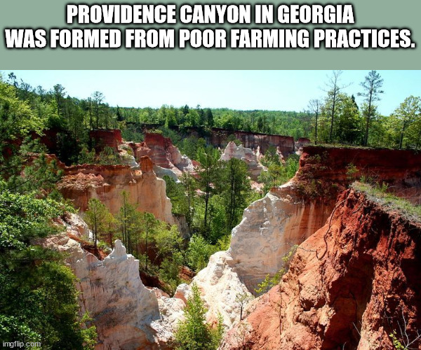 providence canyon state park - Providence Canyon In Georgia Was Formed From Poor Farming Practices. imgflip.com
