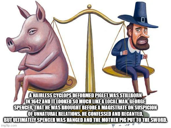 cartoon - A Hairless Cyclops Deformed Piglet Was Stillborn In 1642 And It Looked So Much A Local Man, George Spencer, That He Was Brought Before A Magistrate On Suspicion Of Unnatural Relations. He Confessed And Recanted, But Ultimately Spencer Was Hanged