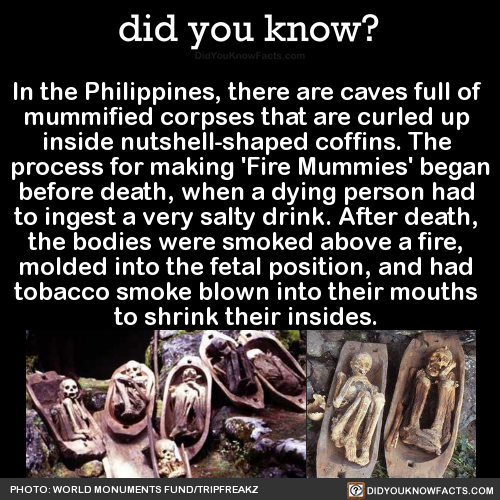 philippine creepy facts - did you know? DidYouKnowFacts.com In the Philippines, there are caves full of mummified corpses that are curled up inside nutshellshaped coffins. The process for making 'Fire Mummies' began before death, when a dying person had t