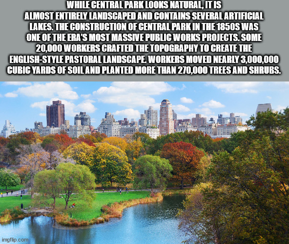 central park - While Central Park Looks Natural, It Is Almost Entirely Landscaped And Contains Several Artificial Lakes. The Construction Of Central Park In The 1850S Was One Of The Era'S Most Massive Public Works Projects. Some 20,000 Workers Crafted The