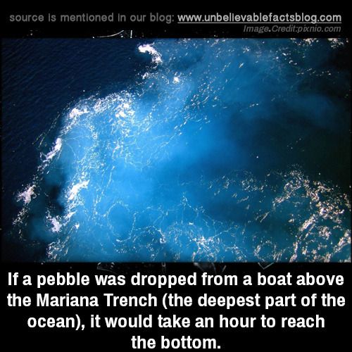 mariana trench above - source is mentioned in our blog Image. Creditpixnio.com If a pebble was dropped from a boat above the Mariana Trench the deepest part of the ocean, it would take an hour to reach the bottom.