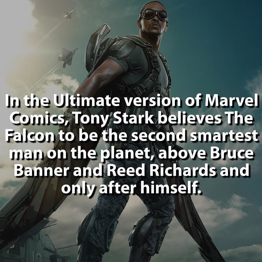 comic book facts - sam wilson wallpaper 4k - In the Ultimate version of Marvel Comics, Tony Stark believes The Falcon to be the second smartest man on the planet, above Bruce Banner and Reed Richards and only after himself.