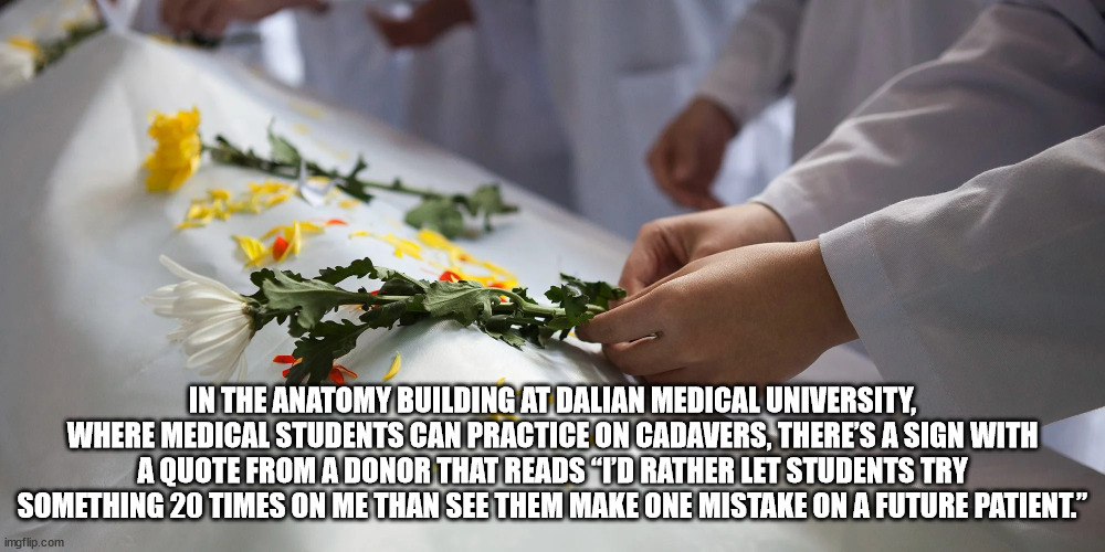 floral design - In The Anatomy Building At Dalian Medical University, Where Medical Students Can Practice On Cadavers, There'S A Sign With A Quote From A Donor That Reads Td Rather Let Students Try Something 20 Times On Me Than See Them Make One Mistake O