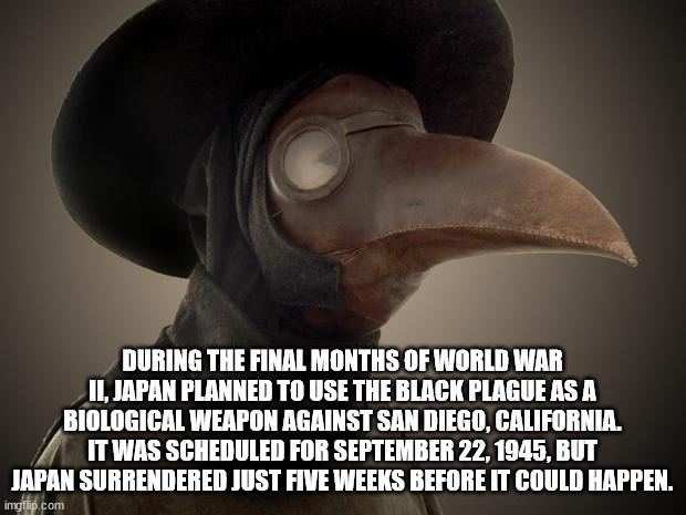 photo caption - During The Final Months Of World War Ii, Japan Planned To Use The Black Plague As A Biological Weapon Against San Diego, California. It Was Scheduled For , But Japan Surrendered Just Five Weeks Before It Could Happen. imgflip.com
