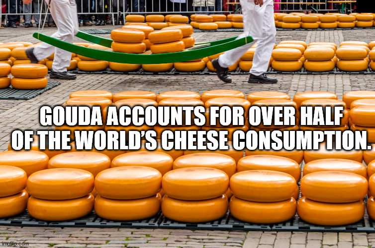 produce - Gouda Accounts For Over Half Of The World'S Cheese Consumption. imgflip.com