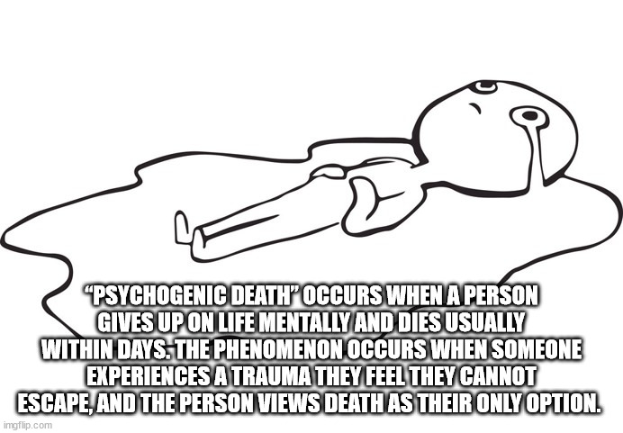 cool facts - glee gold digger - "Psychogenic Death Occurs When A Person Gives Up On Life Mentally And Dies Usually Within Days. The Phenomenon Occurs When Someone Experiences A Trauma They Feel They Cannot Escape, And The Person Views Death As Their Only 