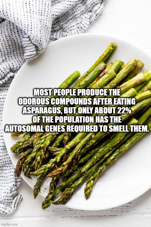 cool facts - asparagus - Most People Produce The Odorous Compounds After Eating Asparagus, But Only About 22% Of The Population Has The Autosomal Genes Required To Smell Them. imgflip.com