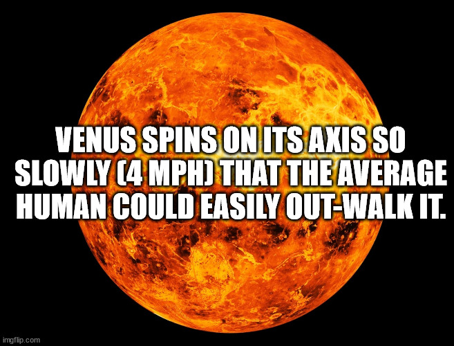 40 Fun Facts To Rattle Around In Your Skull