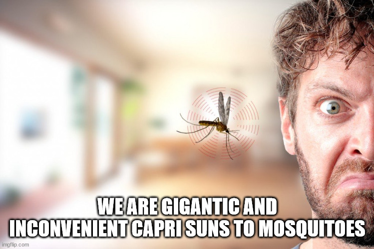 shower thoughts mosquito capri-sun