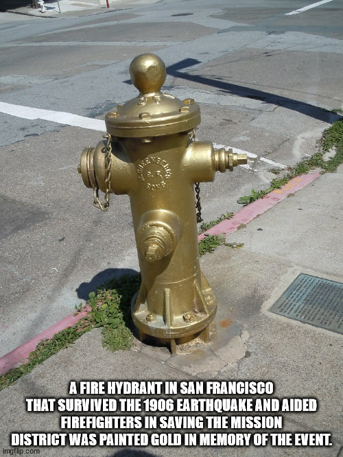 fire hydrant - A Fire Hydrant In San Francisco That Survived The 1906 Earthquake And Aided Firefighters In Saving The Mission District Was Painted Gold In Memory Of The Event. imgflip.com