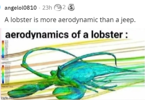 aerodynamics of a lobster - angelol0810 23h 25 A lobster is more aerodynamic than a jeep. aerodynamics of a lobster imgflip.com