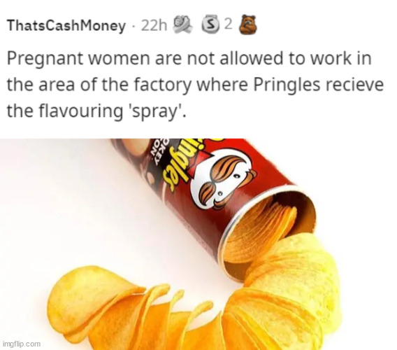 ThatsCashMoney 22h 2 3 2 Pregnant women are not allowed to work in the area of the factory where Pringles recieve the flavouring 'spray'. ingles imgflip.com
