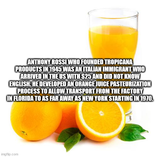 citric acid - Anthony Rossi Who Founded Tropicana Products In 1945 Was An Italian Immigrant Who Arrived In The Us With $25 And Did Not Know English. He Developed An Orange Juice Pasteurization Process To Allow Transport From The Factory In Florida To As F