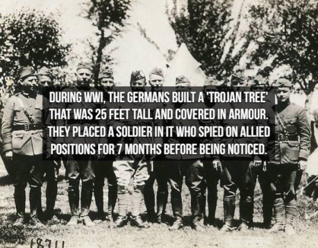 troop - During Wwi, The Germans Built A 'Trojan Tree That Was 25 Feet Tall And Covered In Armour. They Placed A Soldier In It Who Spied On Allied Positions For 7 Months Before Being Noticed. 2711