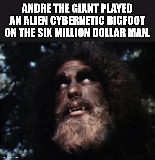 photo caption - Andre The Giant Played An Alien Cybernetic Bigfoot On The Six Million Dollar Man. imgflip.com