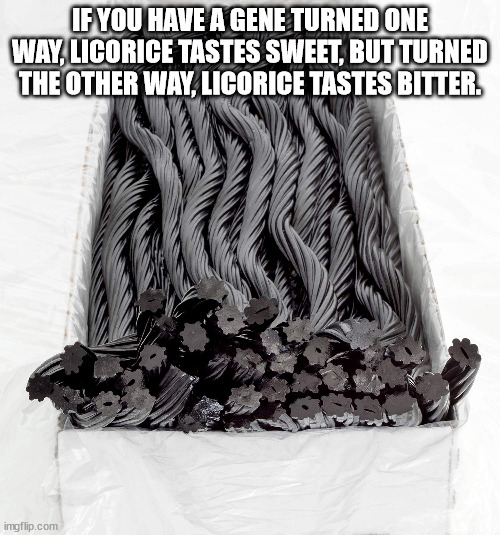licorice cables - If You Have A Gene Turned One Way, Licorice Tastes Sweet, But Turned The Other Way, Licorice Tastes Bitter. imgflip.com