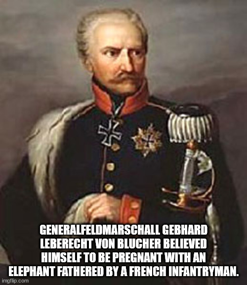 photo caption - Generalfeldmarschall Gebhard Leberecht Von Blucher Believed Himself To Be Pregnant With An Elephant Fathered By A French Infantryman. imgflip.com