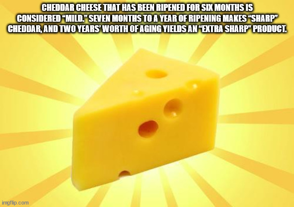 material - Cheddar Cheese That Has Been Ripened For Six Months Is Considered Mild." Seven Months To A Year Of Ripening Makes "Sharp" Cheddar, And Two Years' Worth Of Aging Yields An Extra Sharp" Product. imgflip.com