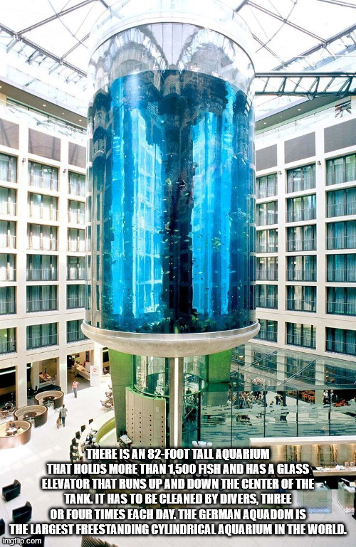berlin free standing aquarium - There Is An 82Foot Tall Aquarium That Holds More Than 1,500 Fish And Has A Glass Elevator That Runs Up And Down The Center Of The Tank. It Has To Be Cleaned By Divers, Three Or Four Times Each Day. The German Aquadom Is The