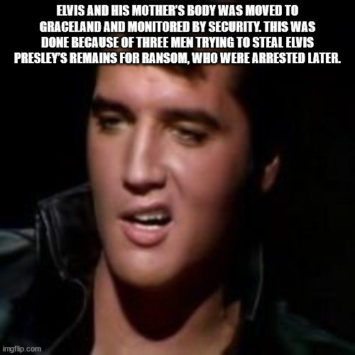 man - Elvis And His Mother'S Body Was Moved To Graceland And Monitored By Security. This Was Done Because Of Three Men Trying To Steal Elvis Presley'S Remains For Ransom, Who Were Arrested Later. imgflip.com