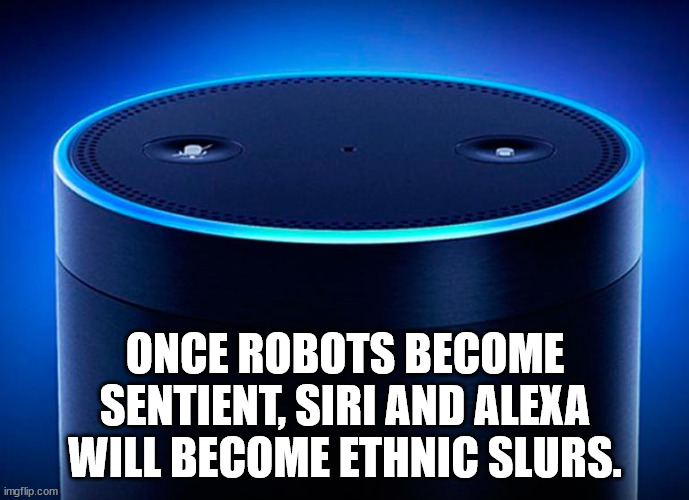 cricket tournament - Once Robots Become Sentient, Siri And Alexa Will Become Ethnic Slurs. imgflip.com