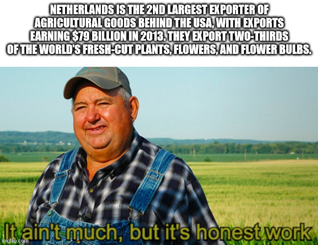 netflix meme stay home - Netherlands Is The 2ND Largest Exporter Of Agricultural Goods Behind The Usa, With Exports Earning $79 Billion In 2013. They Export TwoThirds Of The World'S FreshCut Plants, Flowers, And Flower Bulbs. It ain't much, but it's hones