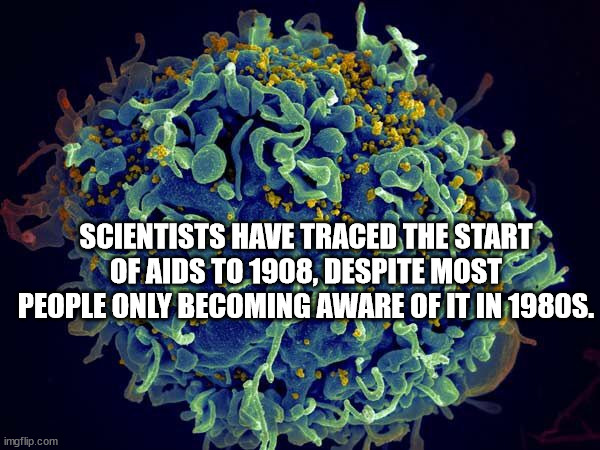 n6 hiv - Scientists Have Traced The Start Of Aids To 1908, Despite Most People Only Becoming Aware Of It In 1980S. imgflip.com