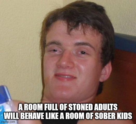 wtf are you talking - A Room Full Of Stoned Adults Will Behave A Room Of Sober Kids imgflip.com