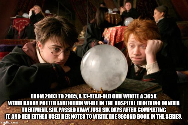 From 2003 To 2005, A 13YearOld Girl Wrote A Word Harry Potter Fanfiction While In The Hospital Receiving Cancer Treatment. She Passed Away Just Six Days After Completing It, And Her Father Used Her Notes To Write The Second Book In The Series. imgflip.com