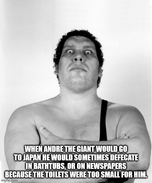 photo caption - When Andre The Giant Would Go To Japan He Would Sometimes Defecate In Bathtubs, Or On Newspapers Because The Toilets Were Too Small For Him. imgflip.com