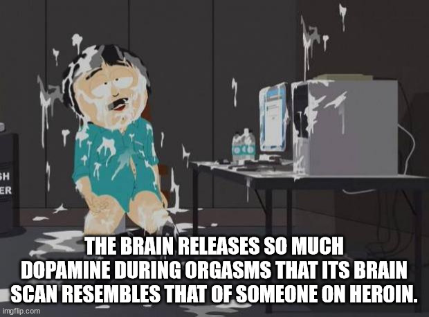 cartoon - Sh Er The Brain Releases So Much Dopamine During Orgasms That Its Brain Scan Resembles That Of Someone On Heroin. imgflip.com