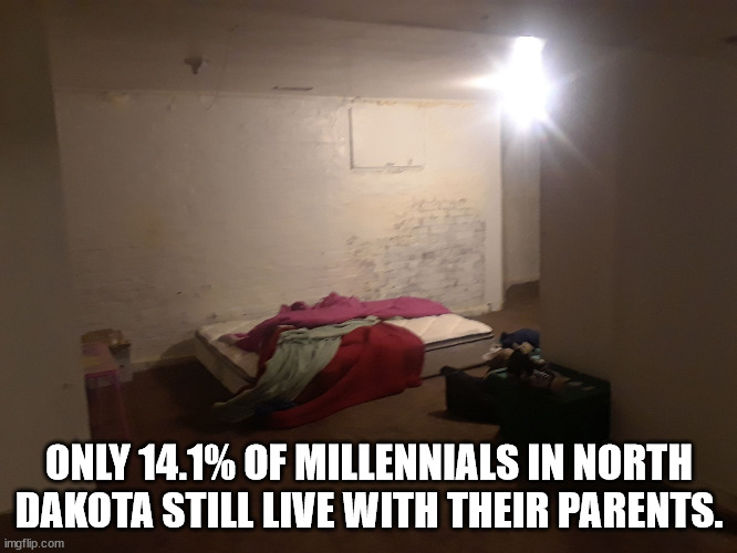 st louis blues - Only 14.1% Of Millennials In North Dakota Still Live With Their Parents. imgflip.com