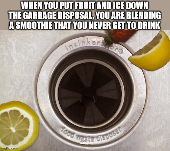 Garbage disposal unit - When You Put Fruit And Ice Down The Garbage Disposal, You Are Blending A Smoothie That You Never Get To Drink insinker rood Weste disposer imgflip.com