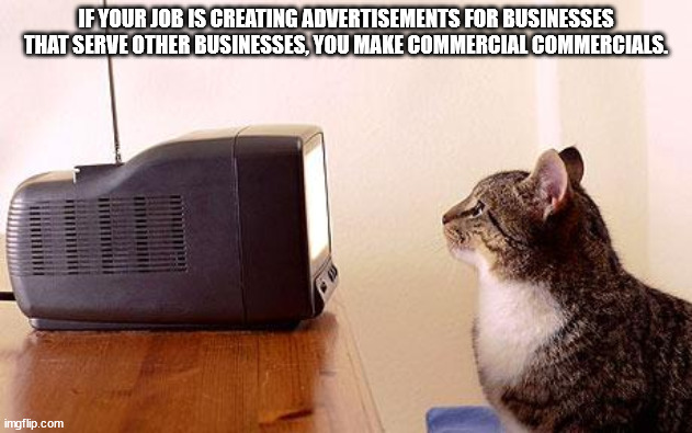 cat watching tv meme - If Your Job Is Creating Advertisements For Businesses That Serve Other Businesses, You Make Commercial Commercials. imgflip.com
