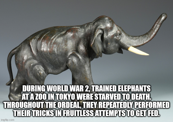 elephants and mammoths - During World War 2, Trained Elephants At A Zoo In Tokyo Were Starved To Death. Throughout The Ordeal, They Repeatedly Performed Their Tricks In Fruitless Attempts To Get Fed. imgflip.com
