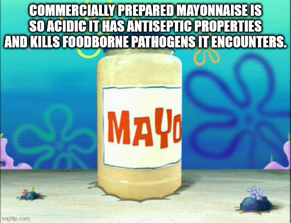 water - Commercially Prepared Mayonnaise Is So Acidic It Has Antiseptic Properties And Kills Foodborne Pathogens It Encounters. z Maui imgflip.com