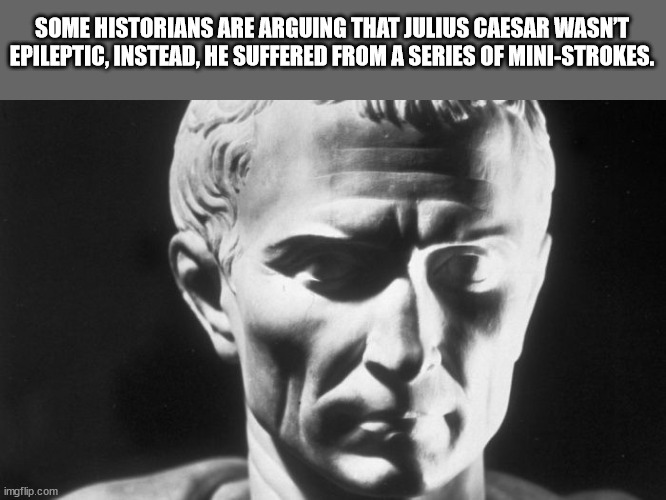 assassination of julius caesar michael parenti - Some Historians Are Arguing That Julius Caesar Wasn'T Epileptic, Instead, He Suffered From A Series Of MiniStrokes. imgflip.com