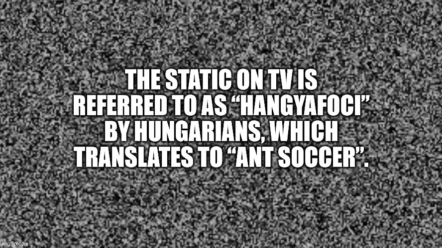 fun facts - radio show italia - The Static On Tvis Referred To As. Hangyafoci" By Hungarians, Which Translates Toant Soccer". imgflip.com
