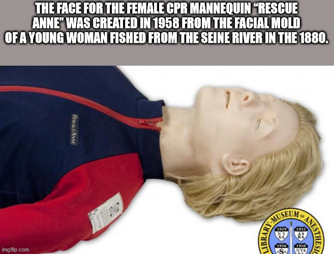 fun facts - The Face For The Female Cpr Mannequin Rescue Anne" Was Created In 1958 From The Facial Mold Of A Young Woman Fished From The Seine River In The 1880. Resisci Anne Seum 1929 1932 Library Ar Anest 1950 imgflip.com 1936 As