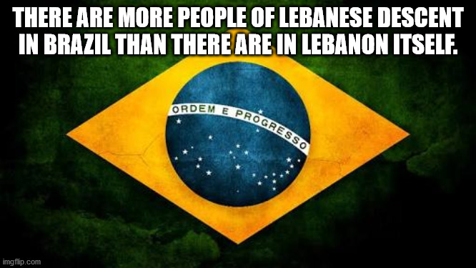 fun facts - useless factsflag of brazil - There Are More People Of Lebanese Descent In Brazil Than There Are In Lebanon Itself. Ordem E Progresso imgflip.com