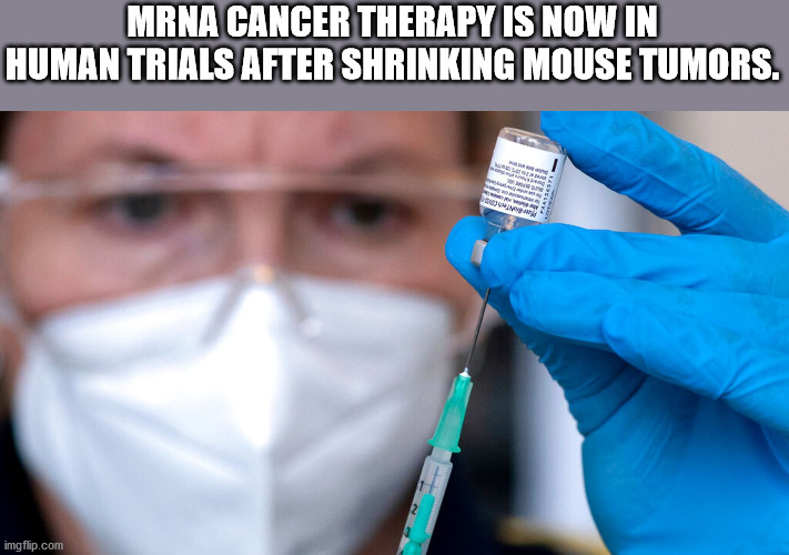fun facts - useless factshealthcare science - Mrna Cancer Therapy Is Now In Human Trials After Shrinking Mouse Tumors. 2 3 imgflip.com
