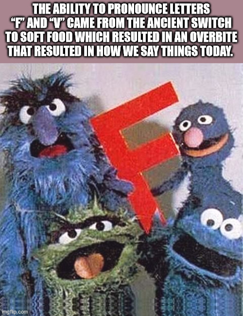 today is brought to you by the letter f - The Ability To Pronounce Letters "F" And "V" Came From The Ancient Switch To Soft Food Which Resulted In An Overbite That Resulted In How We Say Things Today. imgflip.com