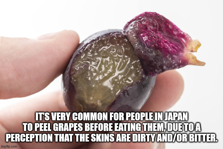 kyoho grape inside - It'S Very Common For People In Japan To Peel Grapes Before Eating Them, Due To A Perception That The Skins Are Dirty AndOr Bitter. imgflip.com
