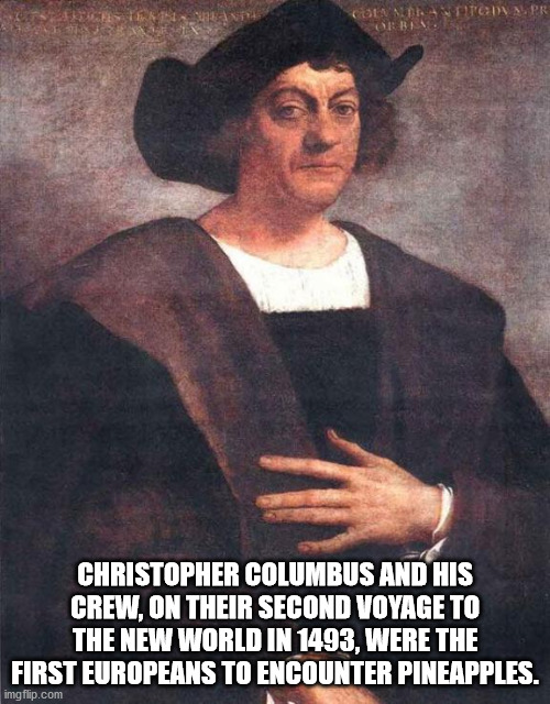 poster - Es Gsinstituen Pr Ob Christopher Columbus And His Crew, On Their Second Voyage To The New World In 1493, Were The First Europeans To Encounter Pineapples. imgflip.com
